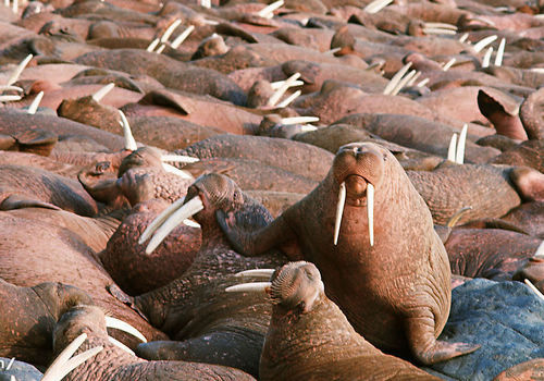 tyc7111cc太阳成集团