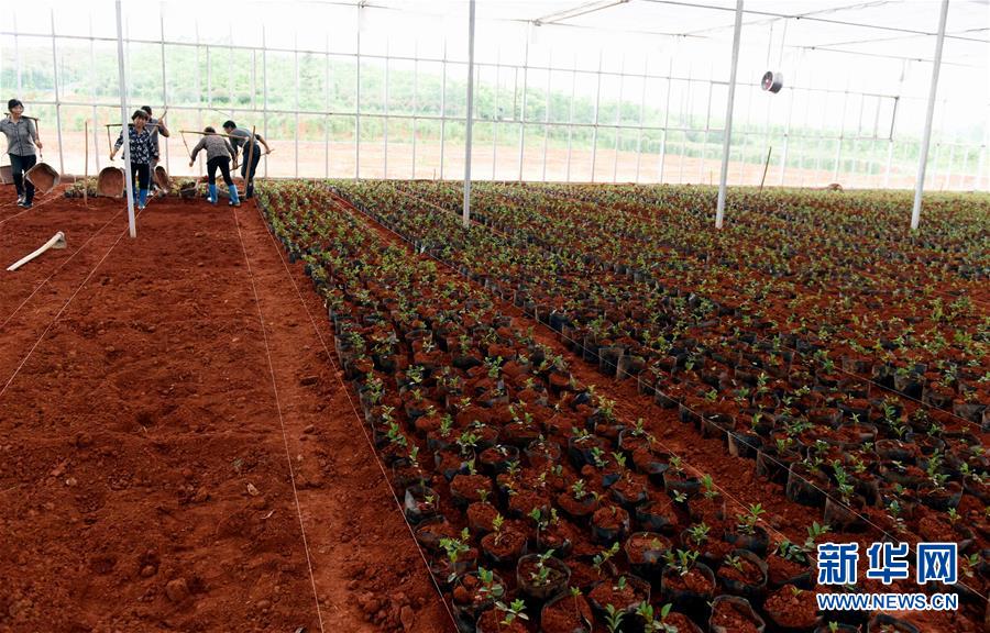 tyc7111cc太阳成集团