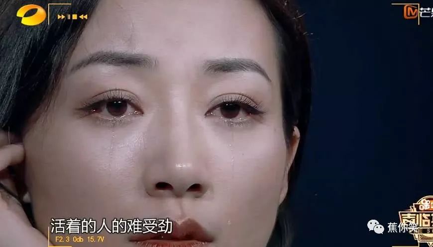 太阳成tyc7111cc官网:河北举办海外旅行商采购大会 嘉宾涵盖四大洲(图3) tyc7111cc太阳成集团