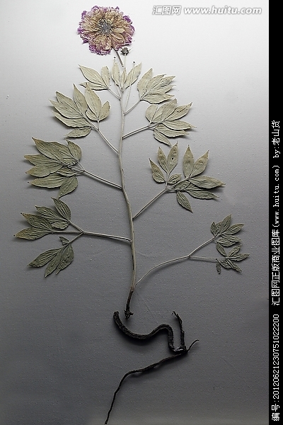 “太阳成tyc7111cc”请勿忽视幼儿性教育(图2) 太阳成tyc7111cc