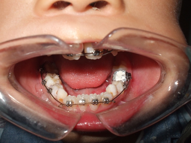 浙江孝亲沙龙谈“孝当竭力”:对父母物质精神双供养_太阳成tyc7111cc官网(图1) 太阳成tyc7111cc