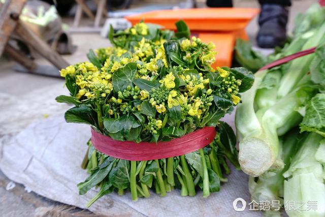 太阳成tyc7111cc官网