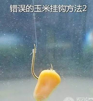 太阳成tyc7111cc-府西社区:中秋至,党建情,党员固定日活动丰富多彩(图4) 太阳成tyc7111cc官网