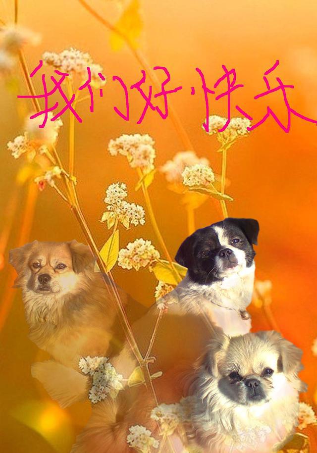 太阳成tyc7111cc-府西社区:中秋至,党建情,党员固定日活动丰富多彩(图2) 太阳成tyc7111cc